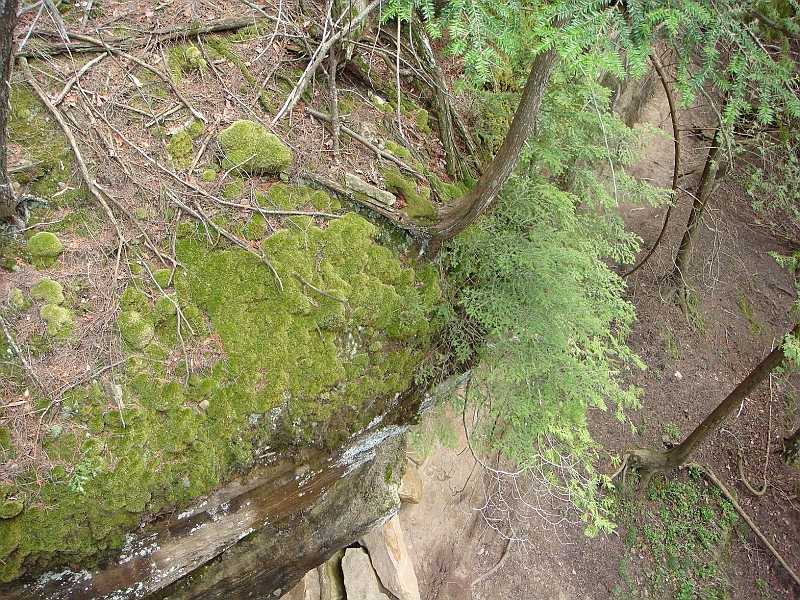 316 Memorial Day [2008 May 23].JPG - Scenes from Tahquanemon Falls in the Michigan Upper Peninsula.